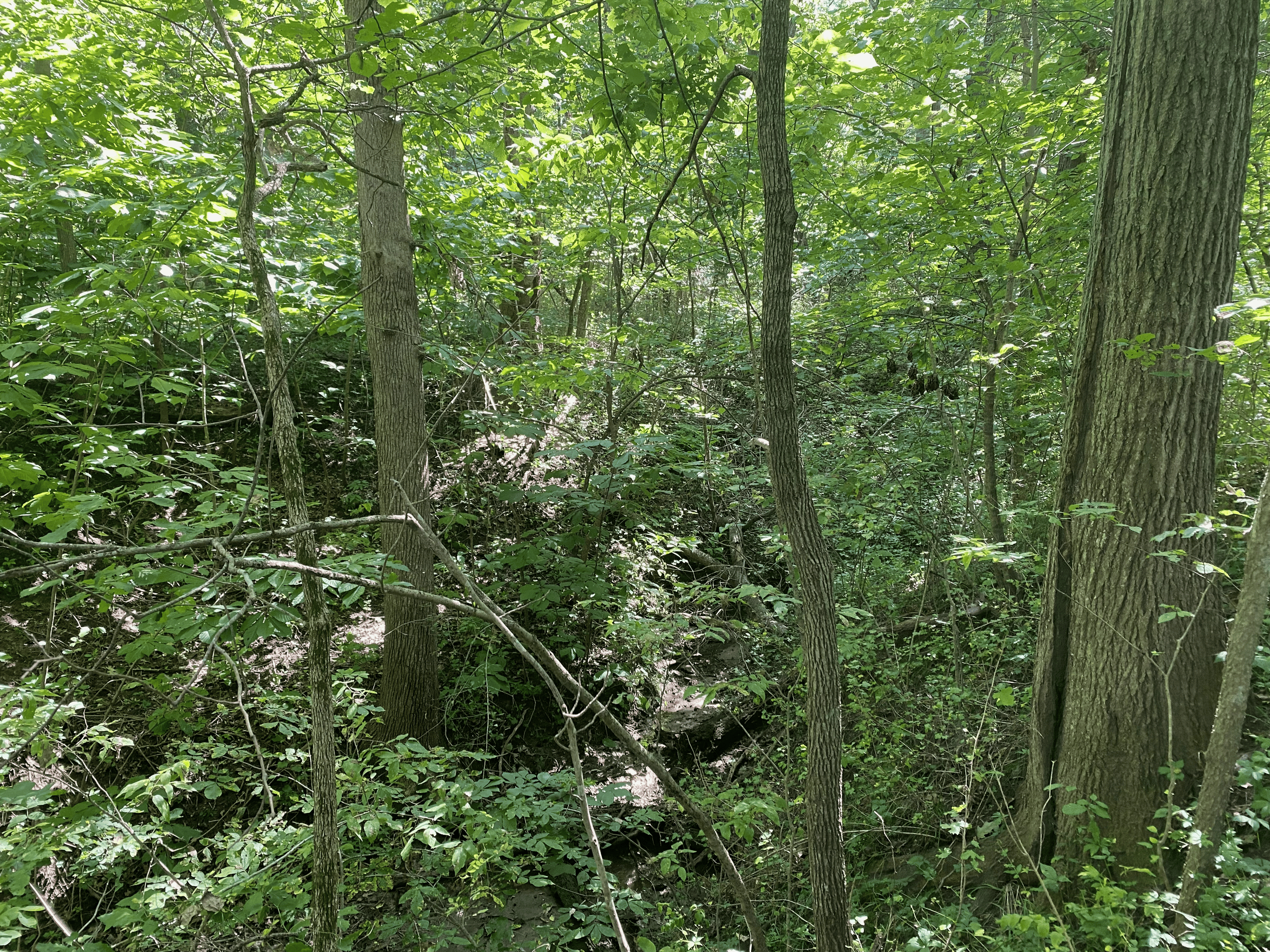 Northwest MO Hunting Land For Sale