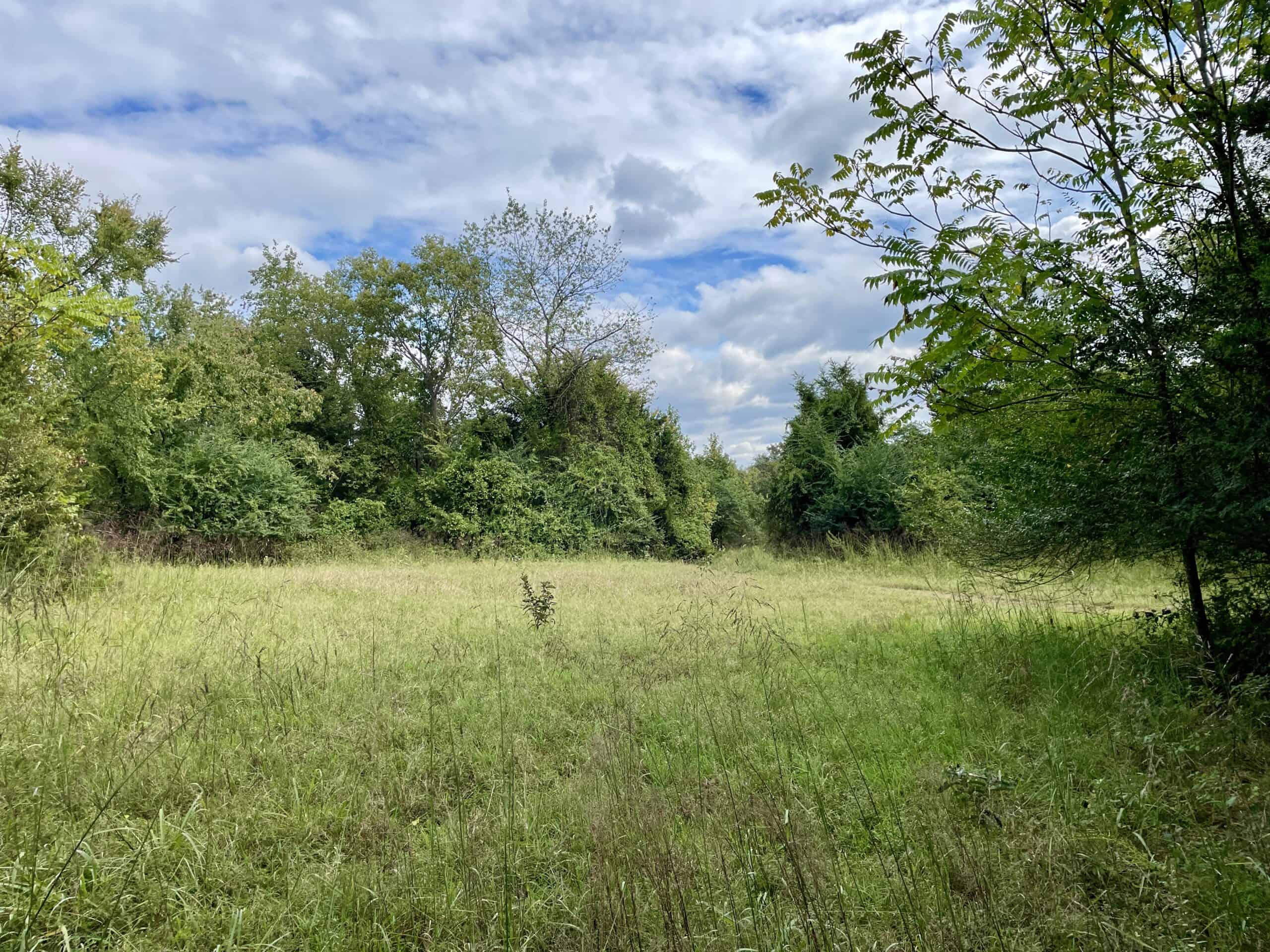 35 Acres Crawford Co AR Hunting Land For Sale