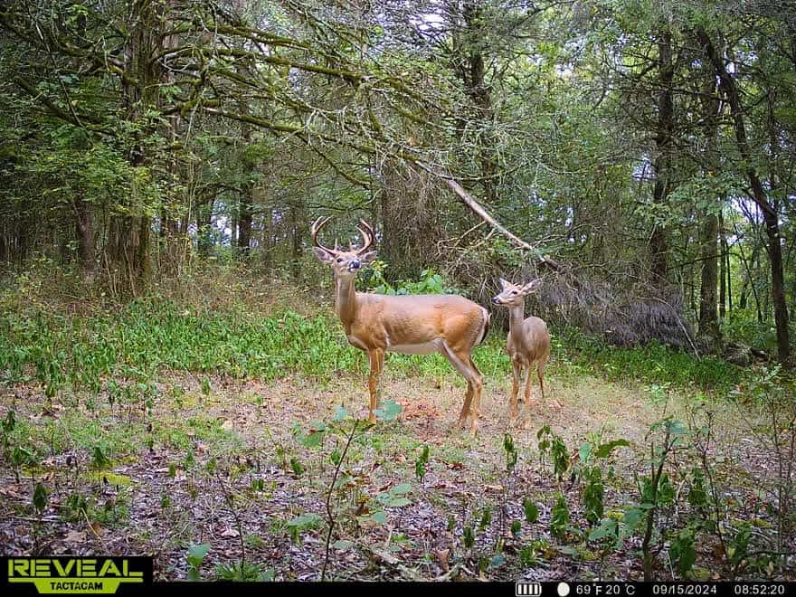 35 Acres Crawford Co AR Hunting Land For Sale
