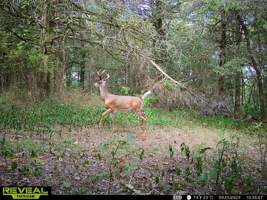 35 Acres Crawford Co AR Hunting Land For Sale