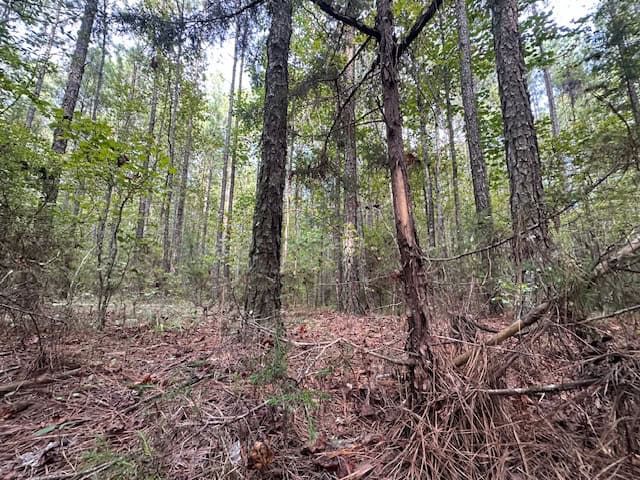 The Chickasaw Creek Tract