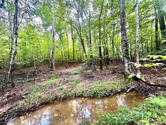 The Chickasaw Creek Tract
