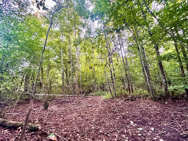 The Chickasaw Creek Tract