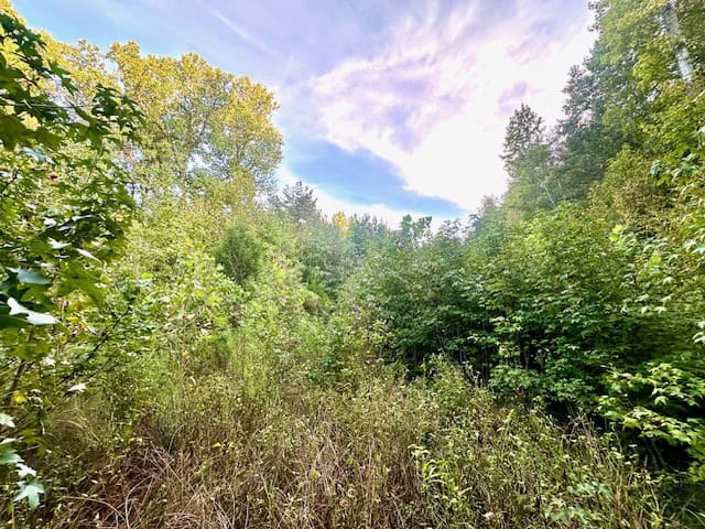 The Chickasaw Creek Tract