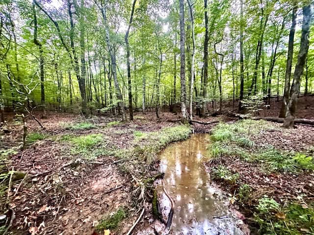 The Chickasaw Creek Tract