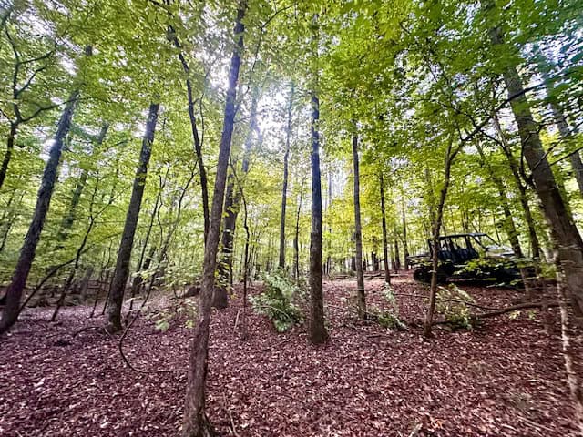 The Chickasaw Creek Tract