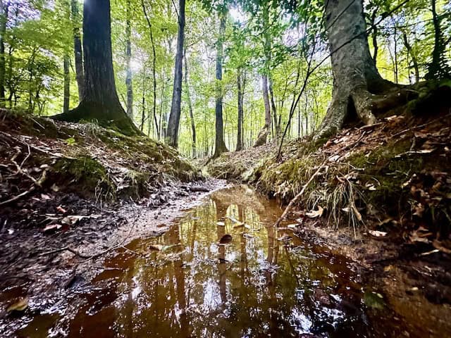The Chickasaw Creek Tract