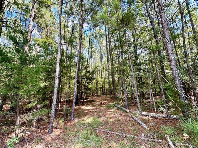 The Chickasaw Creek Tract