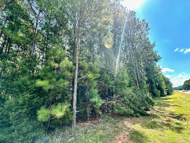 The Chickasaw Creek Tract