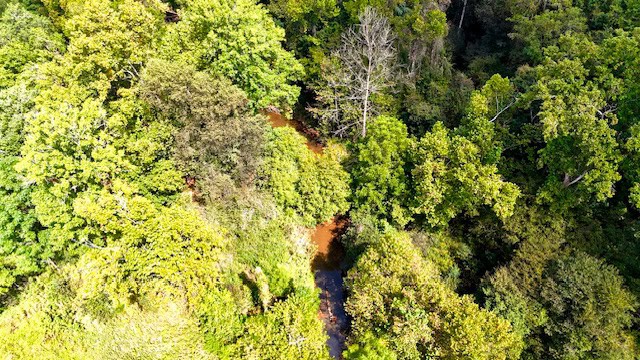 The Chickasaw Creek Tract