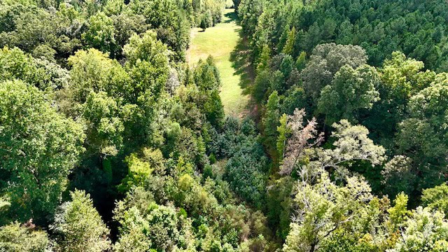 The Chickasaw Creek Tract