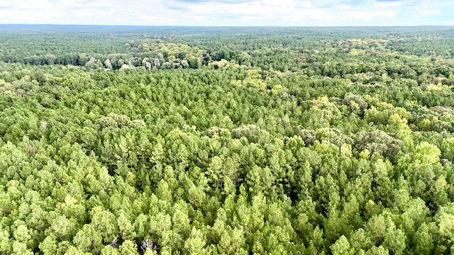 The Chickasaw Creek Tract