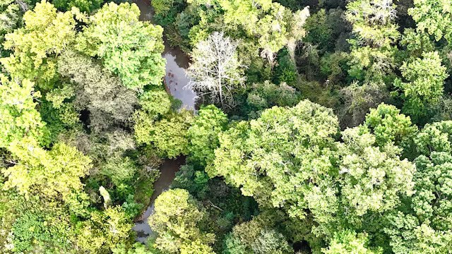 The Chickasaw Creek Tract