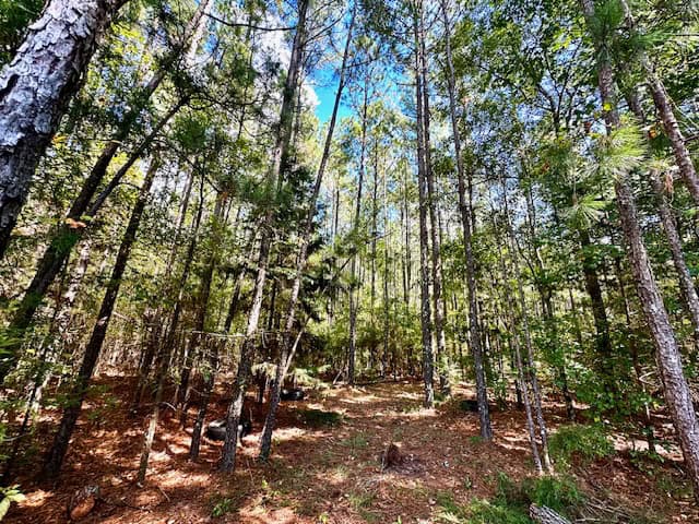 The Chickasaw Creek Tract
