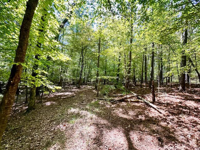 The Chickasaw Creek Tract
