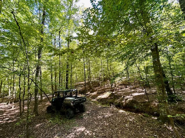 The Chickasaw Creek Tract