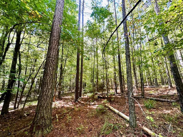 The Chickasaw Creek Tract