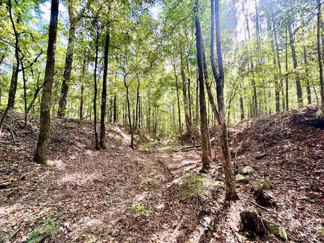 The Chickasaw Creek Tract