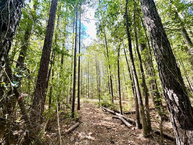 The Chickasaw Creek Tract