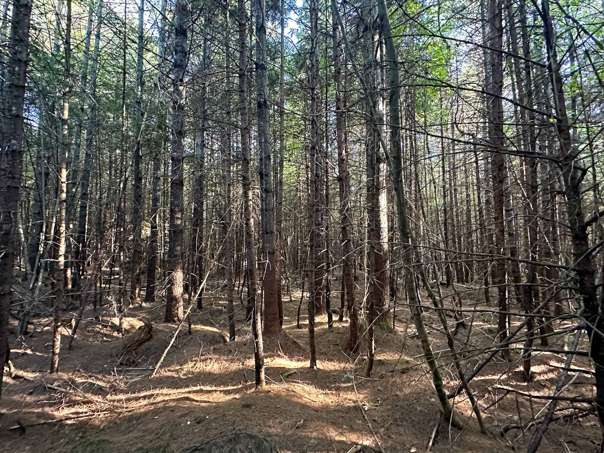 Off Grid Land Big Timber