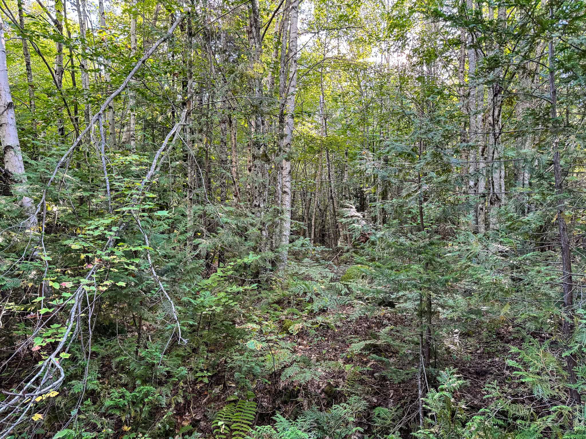 Off Grid Land Big Timber
