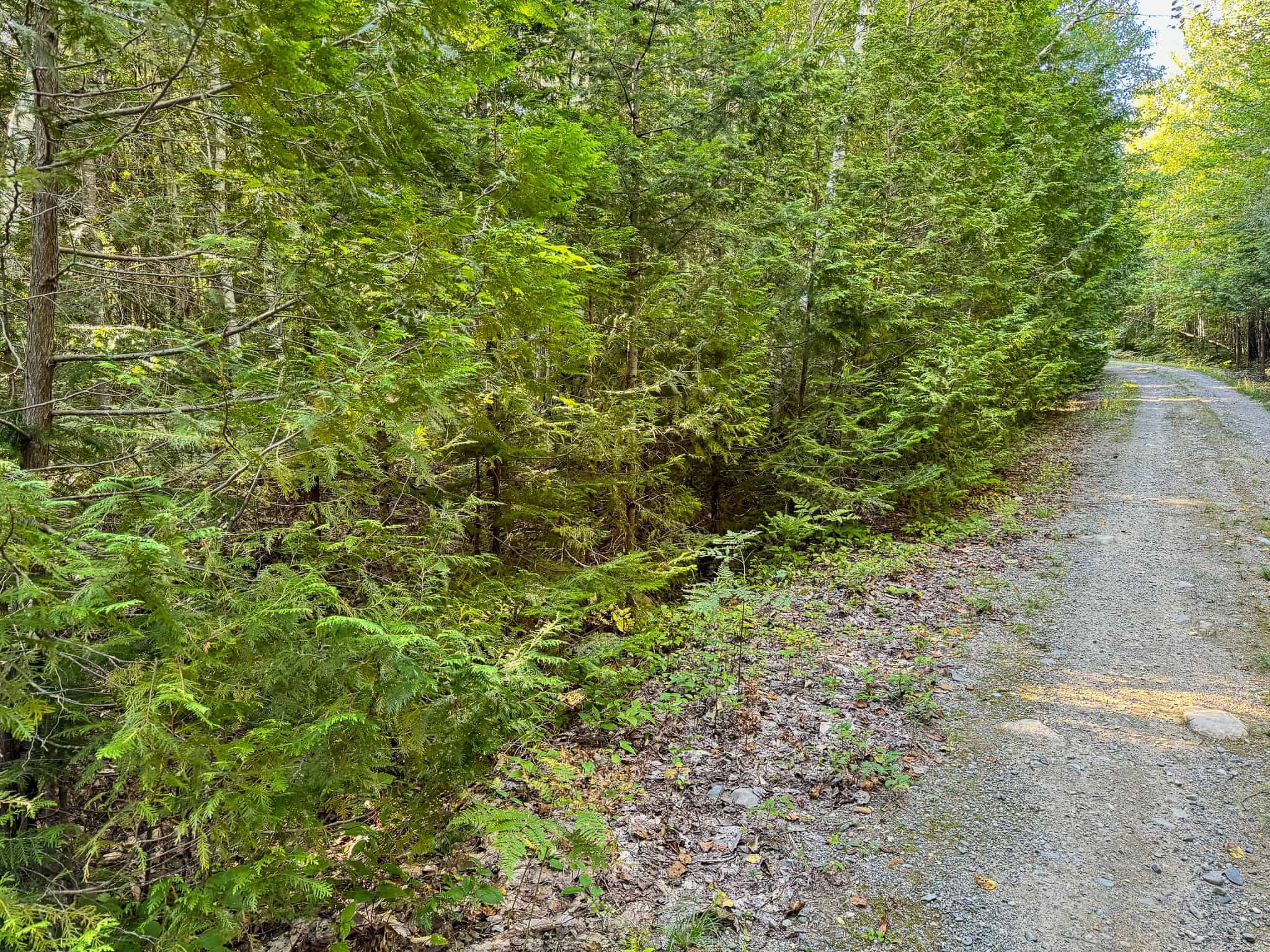 Off Grid Land Big Timber