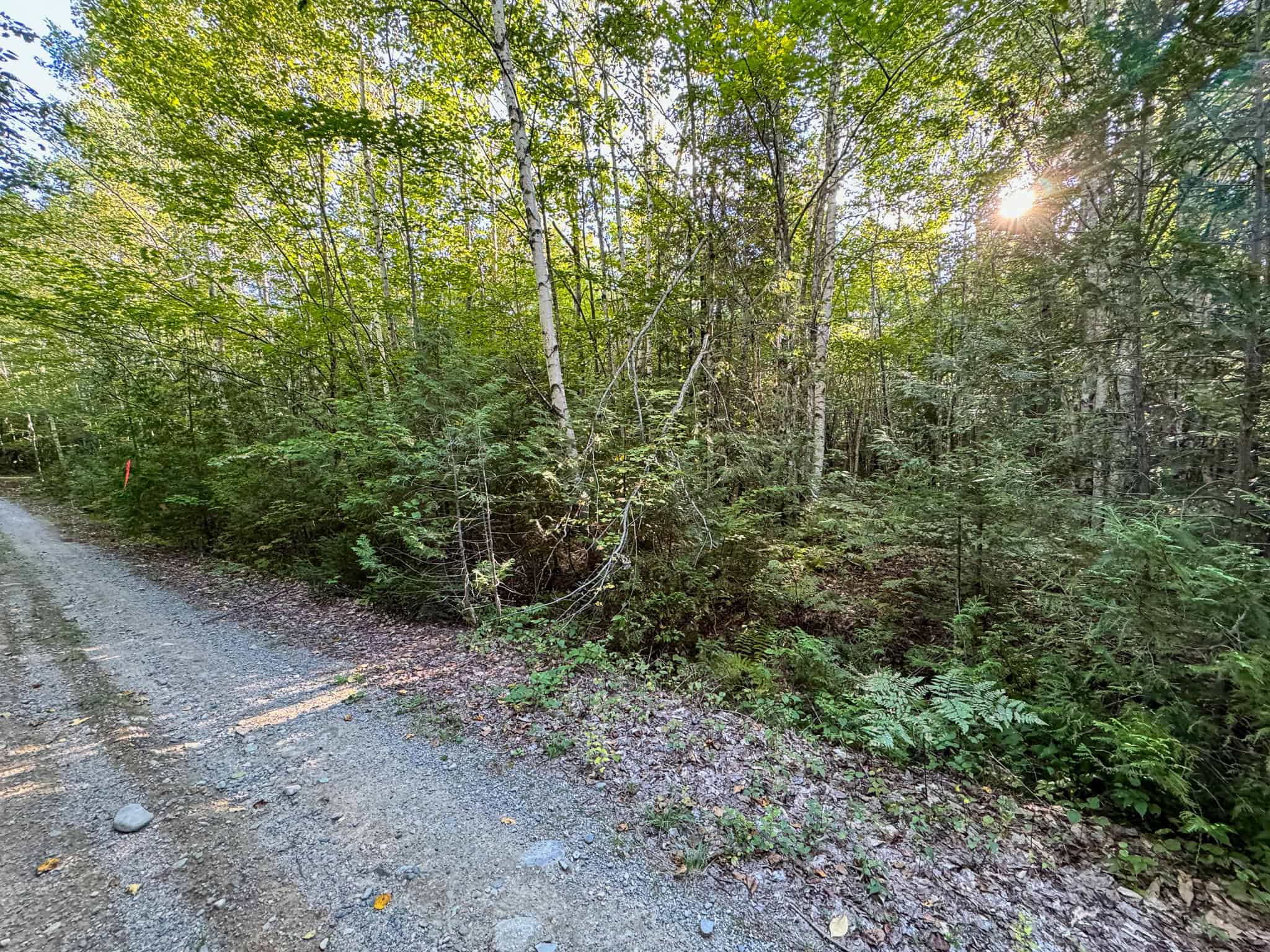 Off Grid Land Big Timber