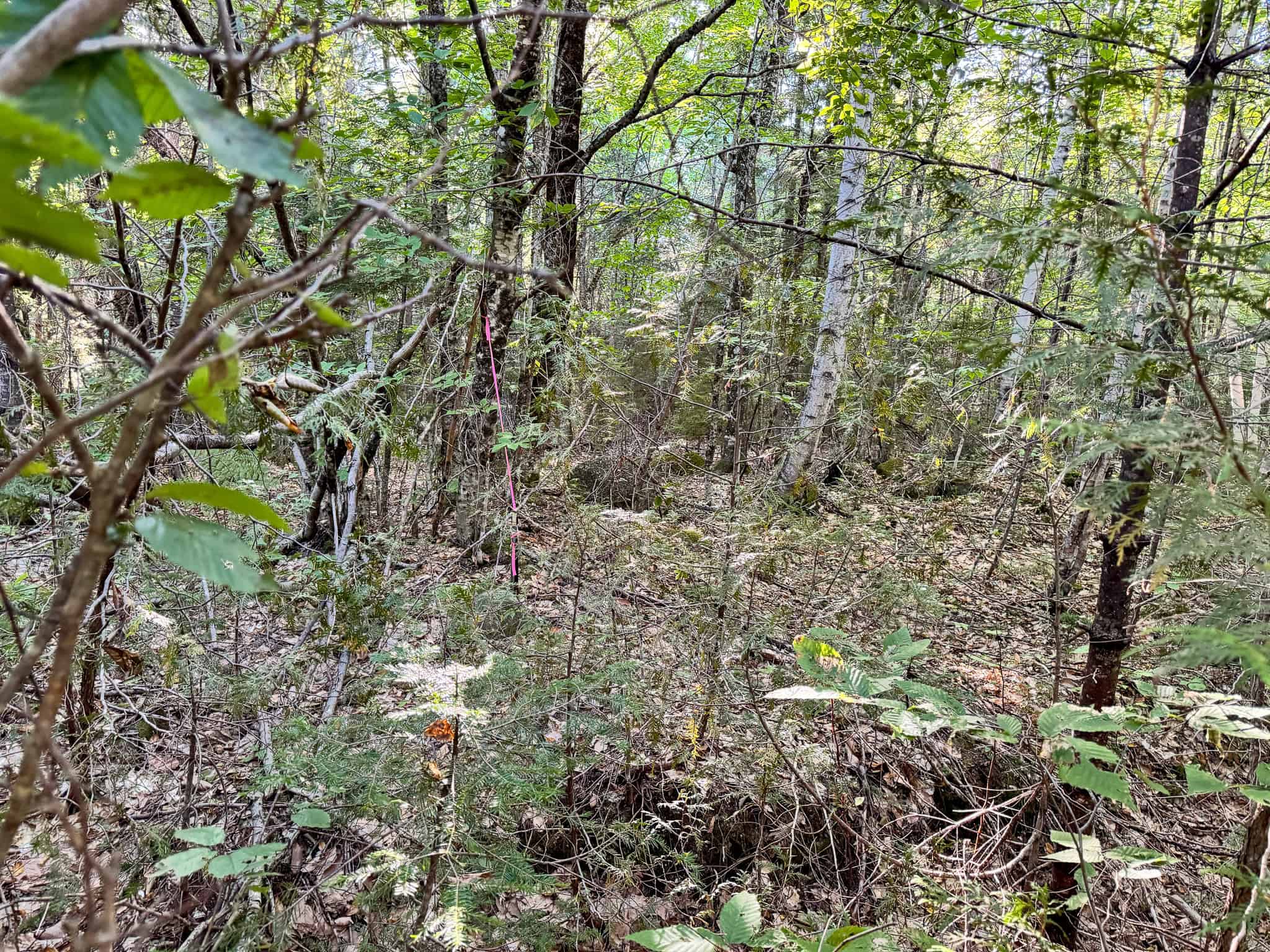 Off Grid Land Big Timber