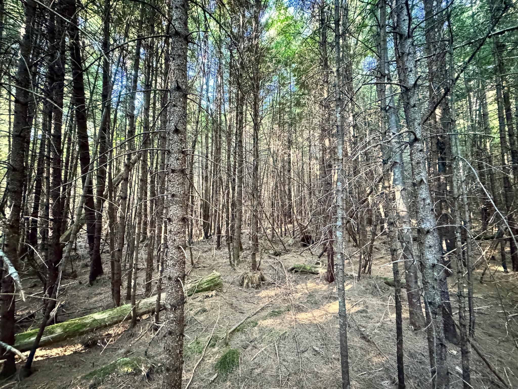 Off Grid Land Big Timber
