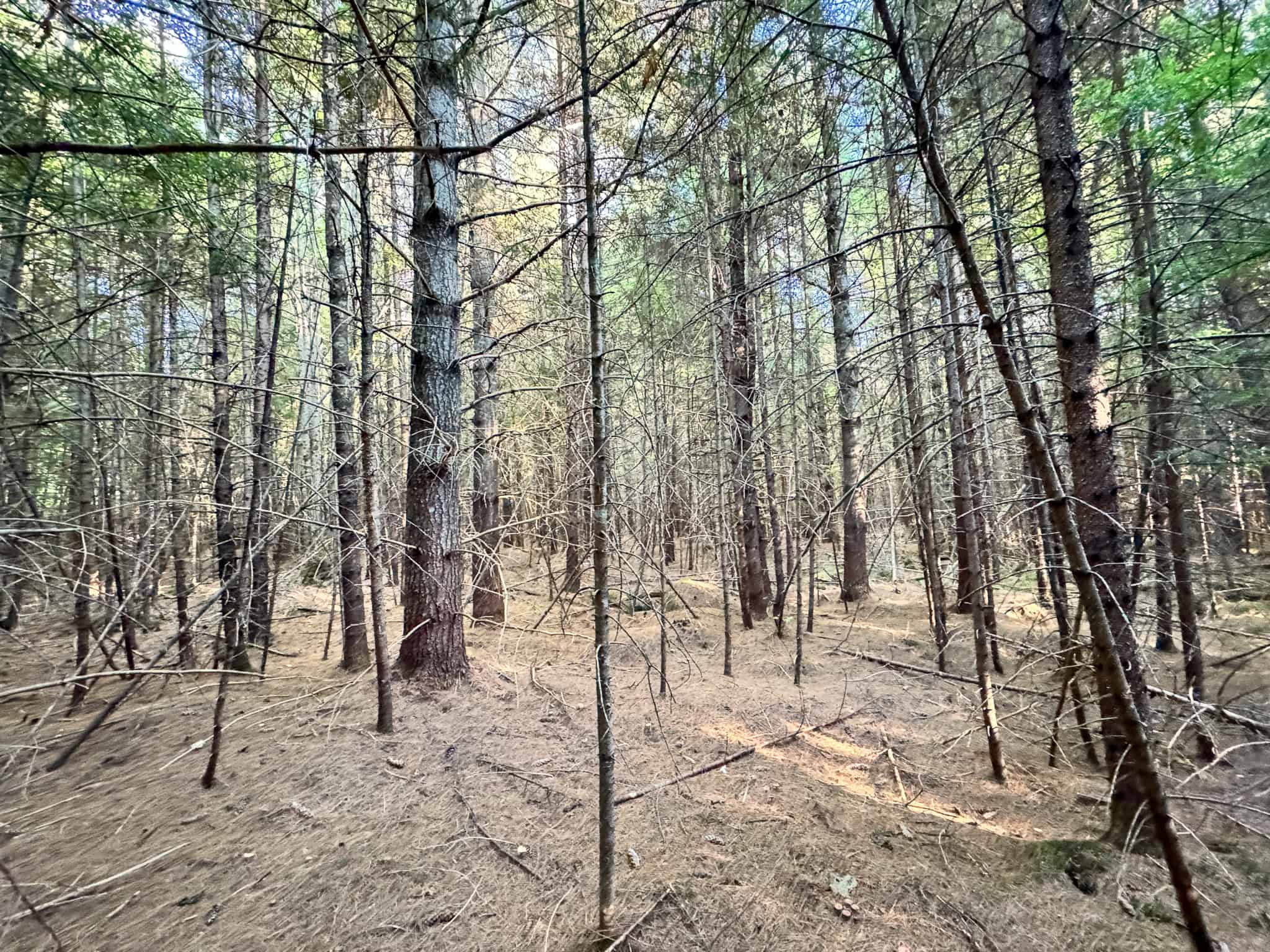 Off Grid Land Big Timber