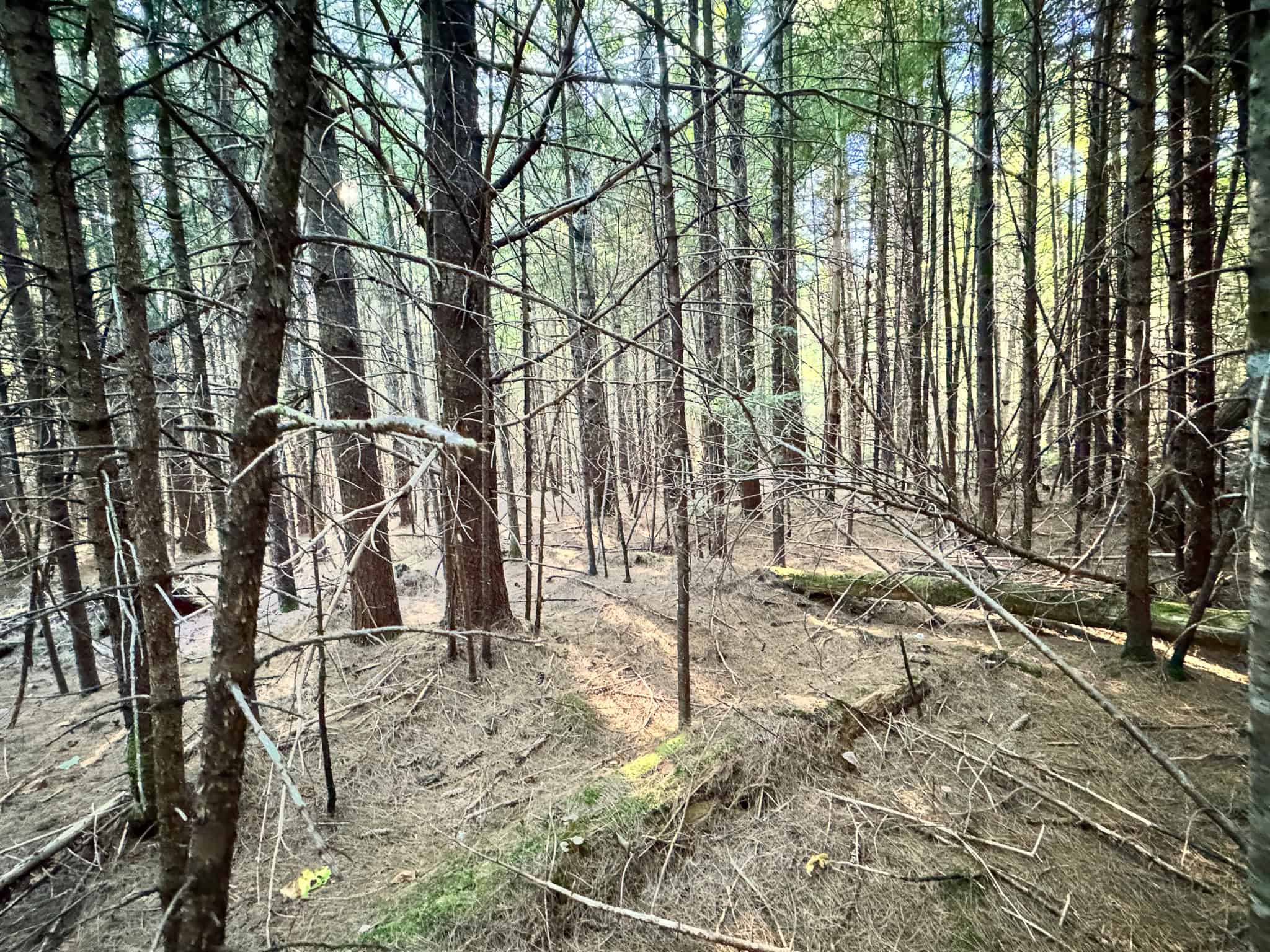 Off Grid Land Big Timber