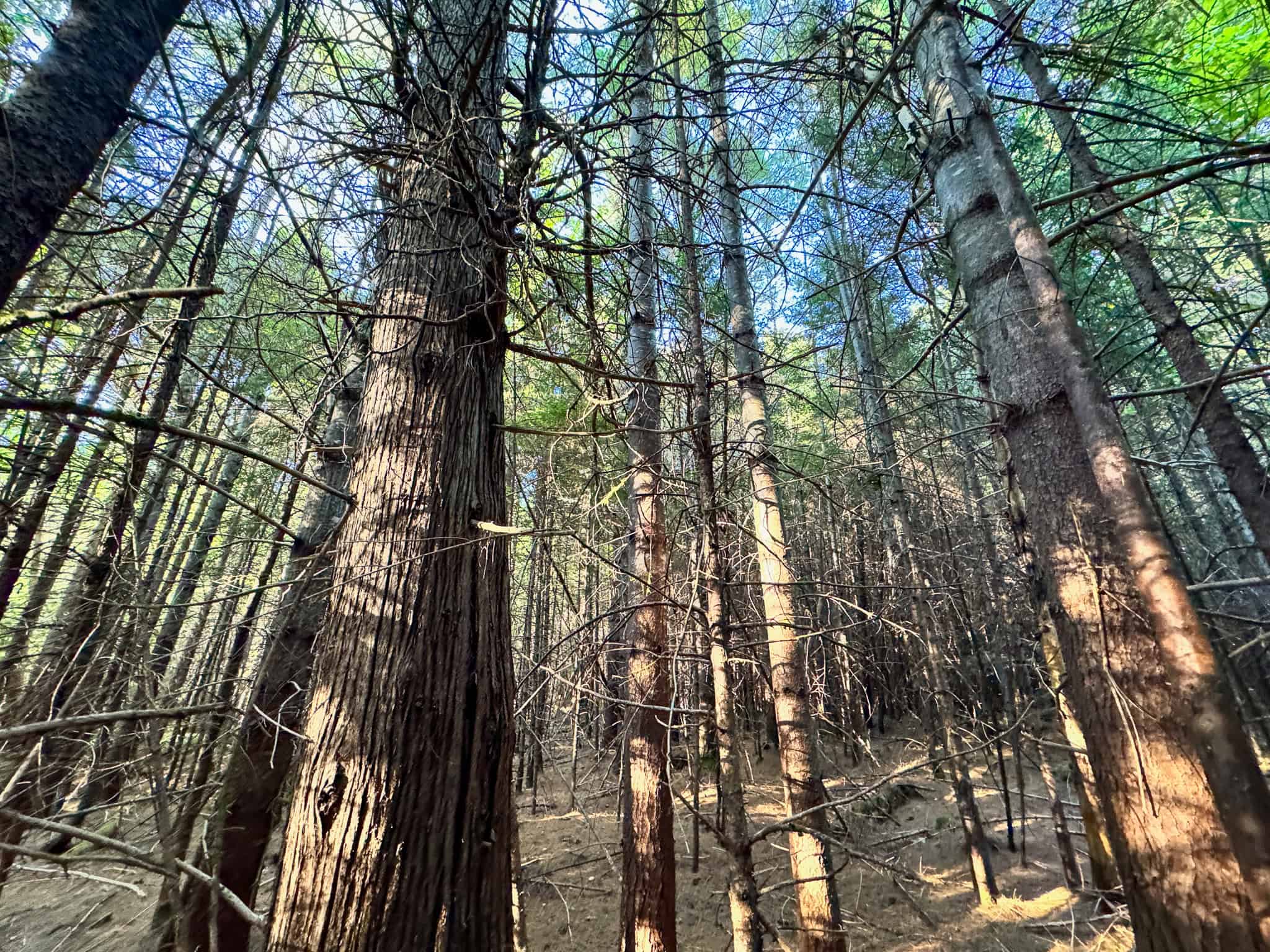 Off Grid Land Big Timber