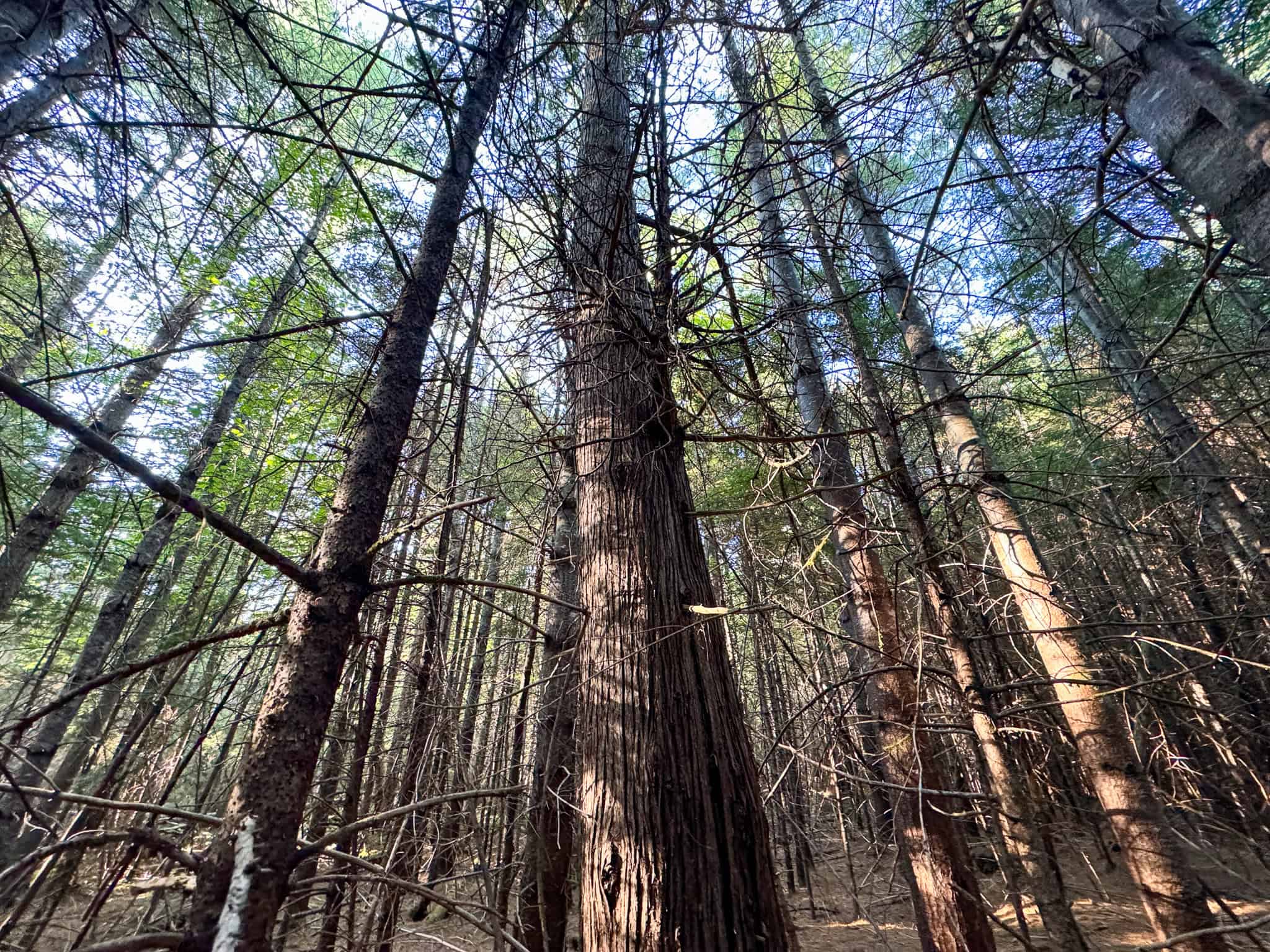 Off Grid Land Big Timber