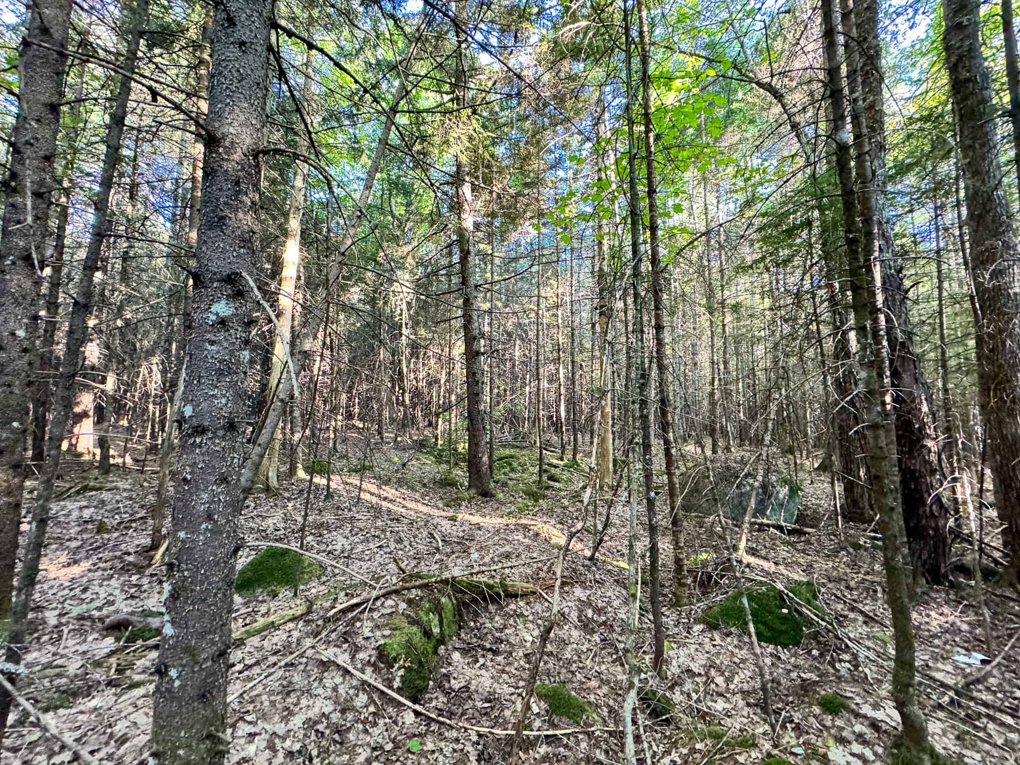 Off Grid Land Big Timber