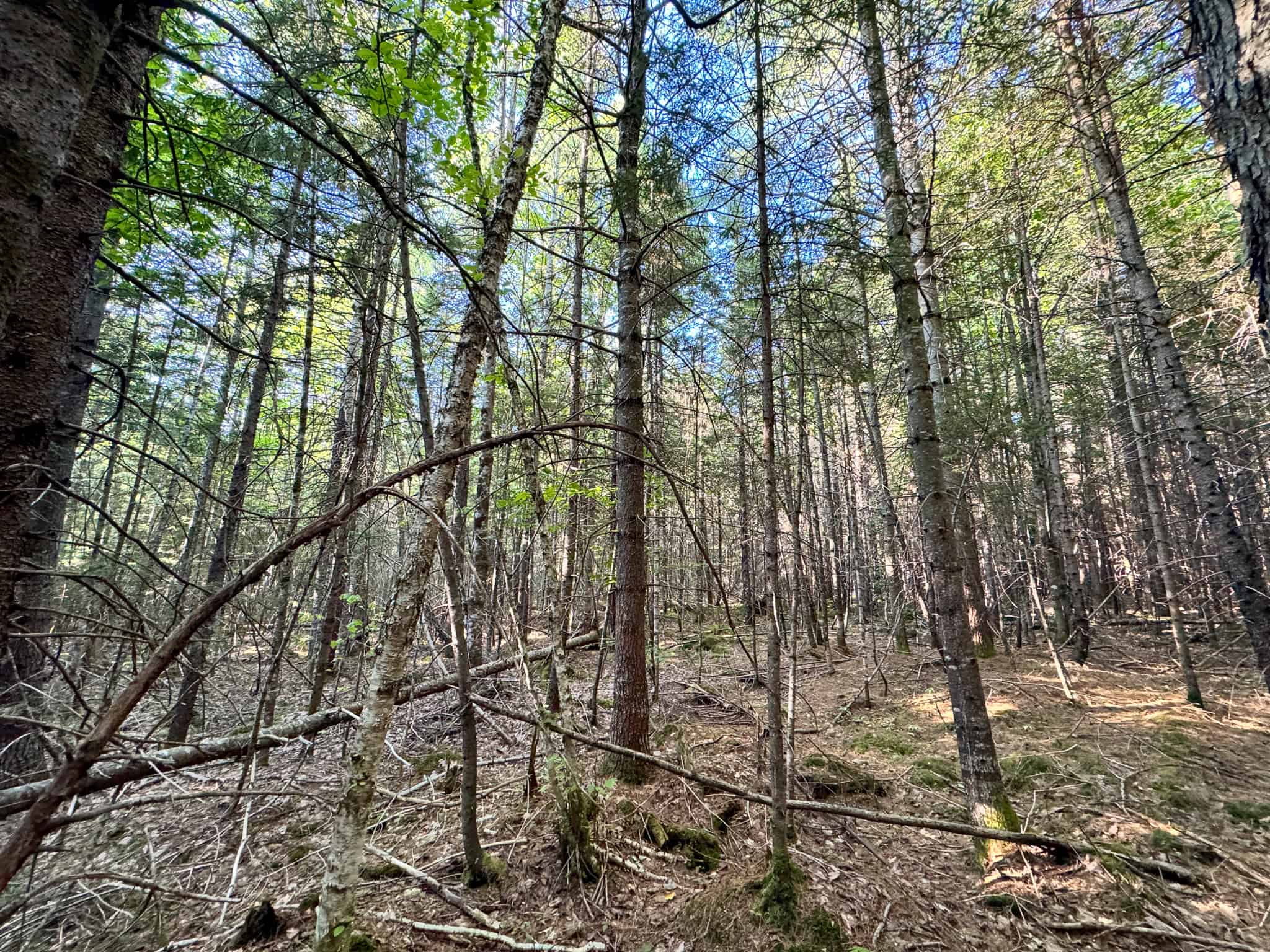 Off Grid Land Big Timber