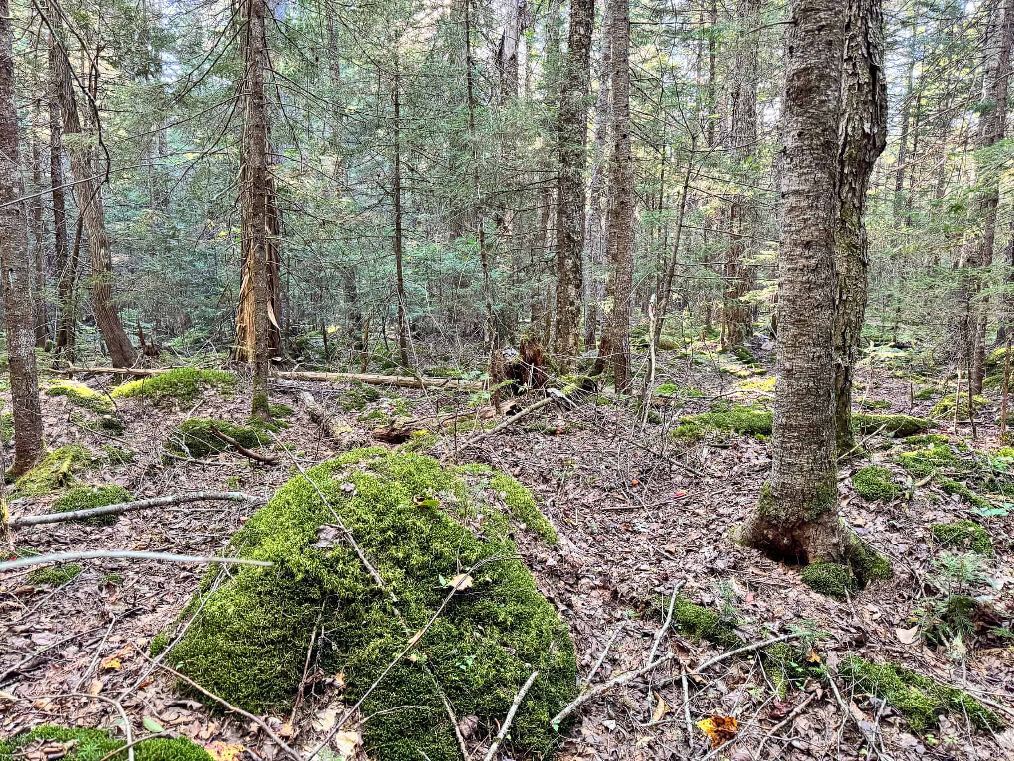 Off Grid Land Big Timber