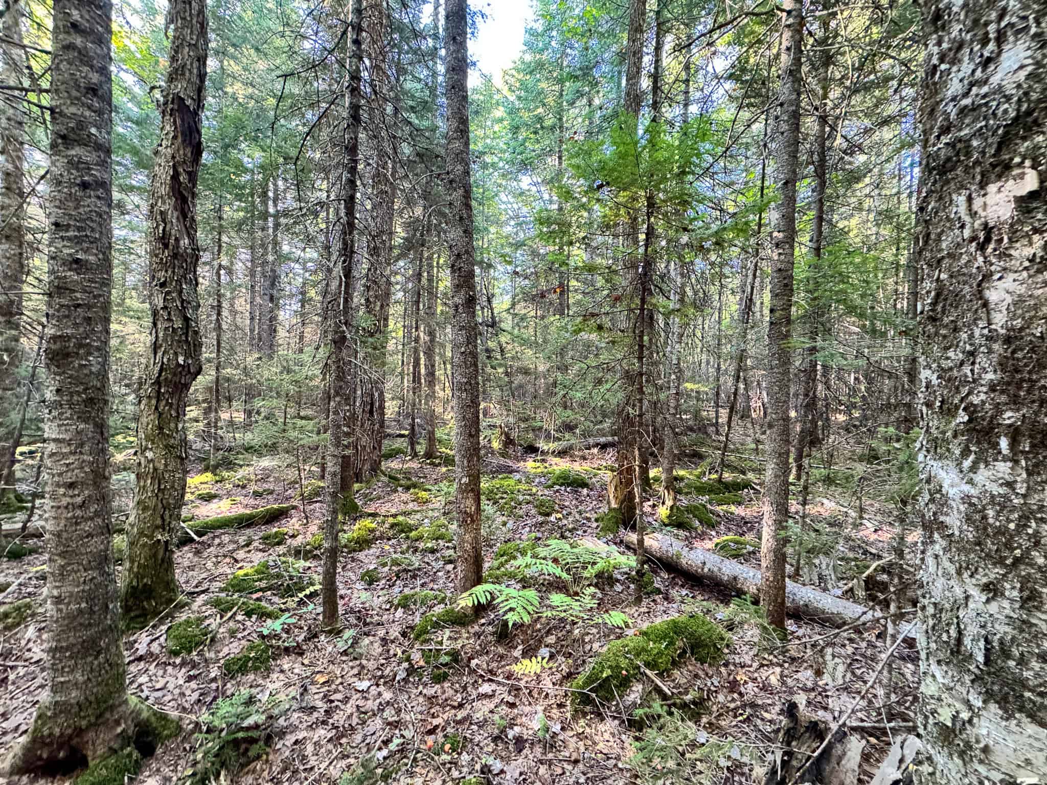 Off Grid Land Big Timber