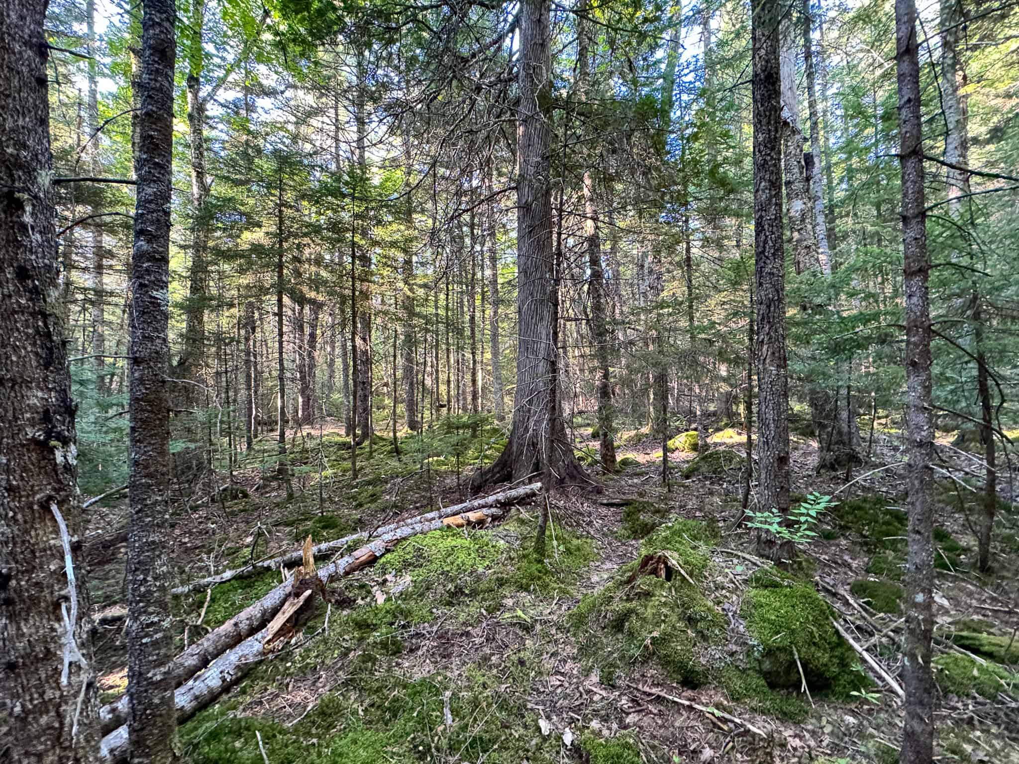 Off Grid Land Big Timber