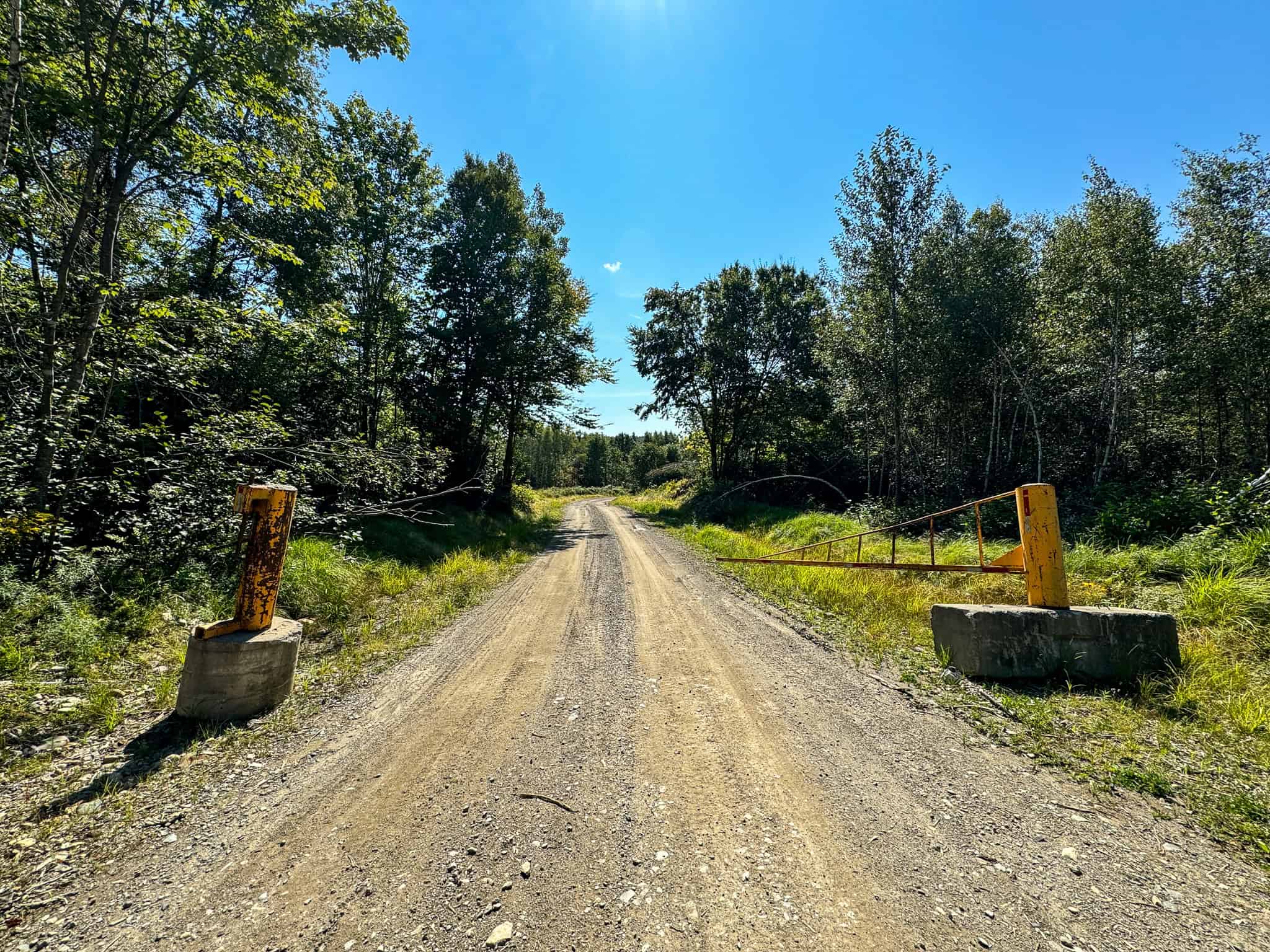 575 Acres Mountain – Brooks – Hardwoods