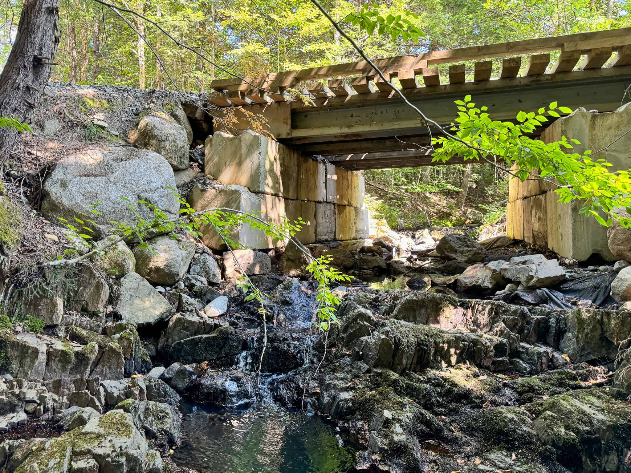 575 Acres Mountain – Brooks – Hardwoods