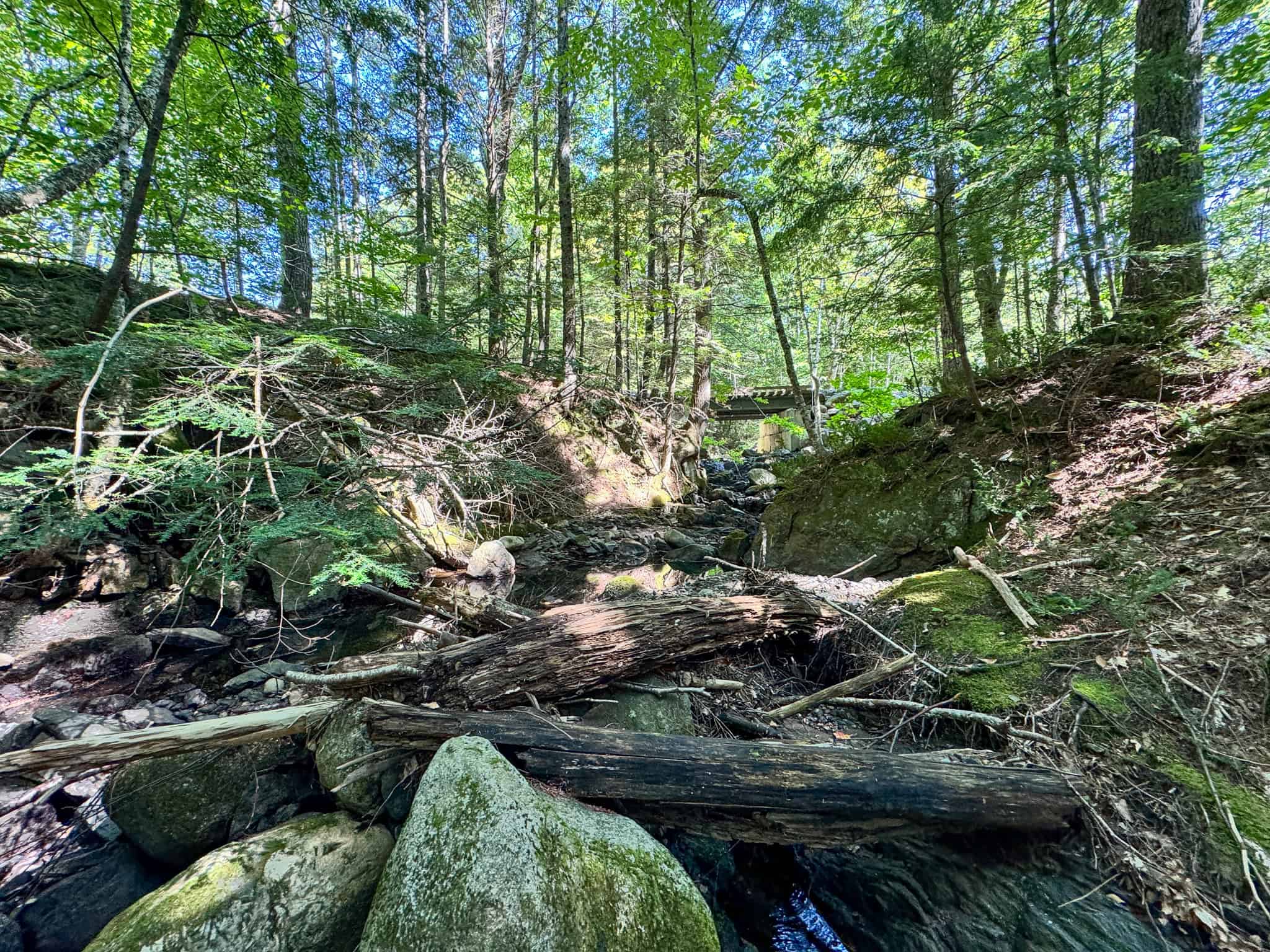 575 Acres Mountain – Brooks – Hardwoods