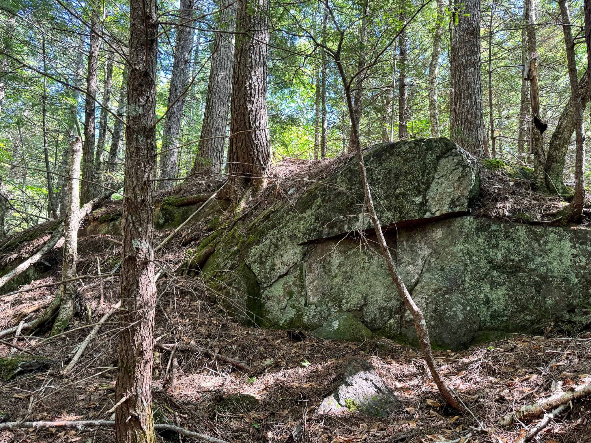 575 Acres Mountain – Brooks – Hardwoods