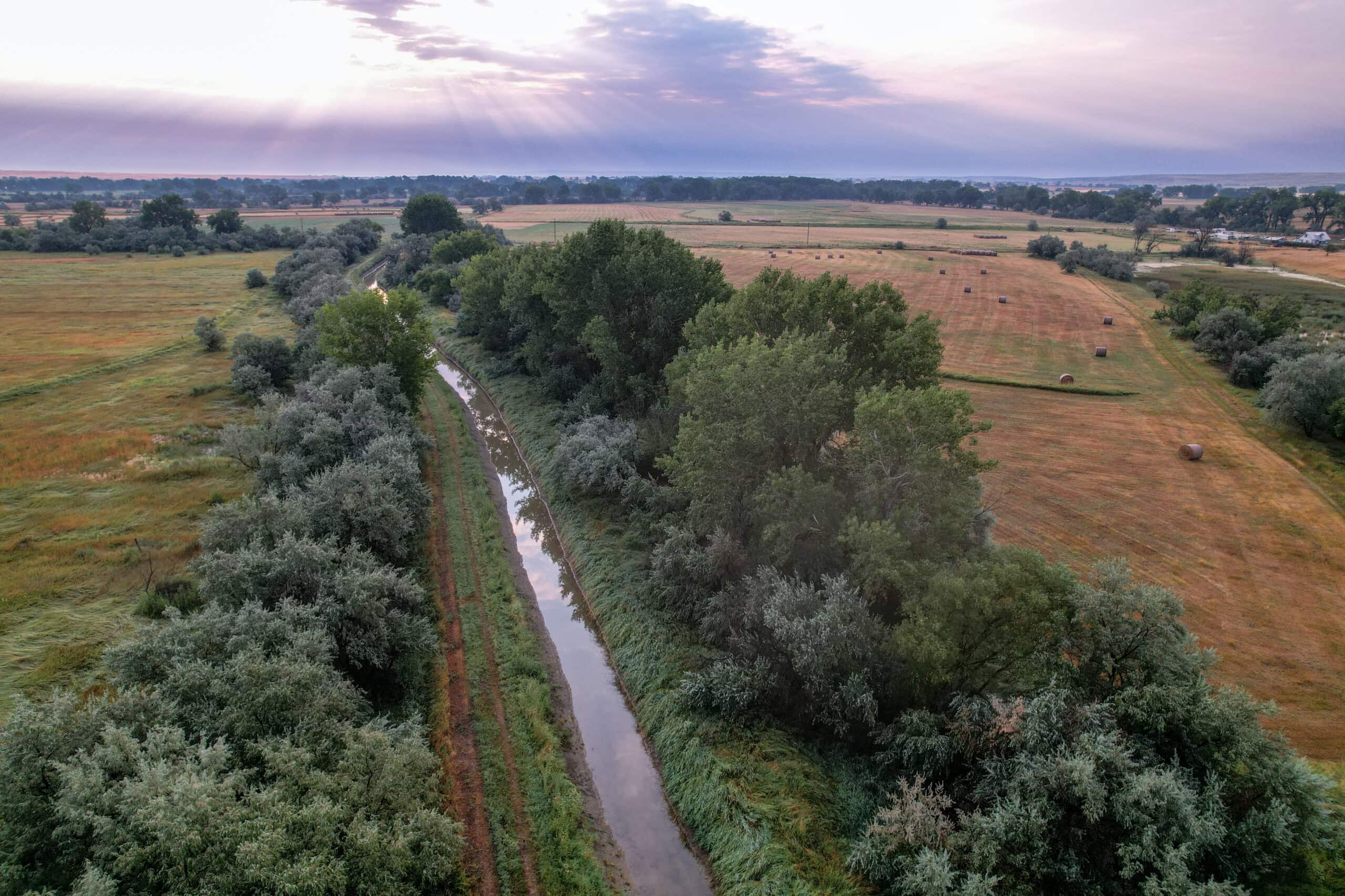 Whitetail Meadows