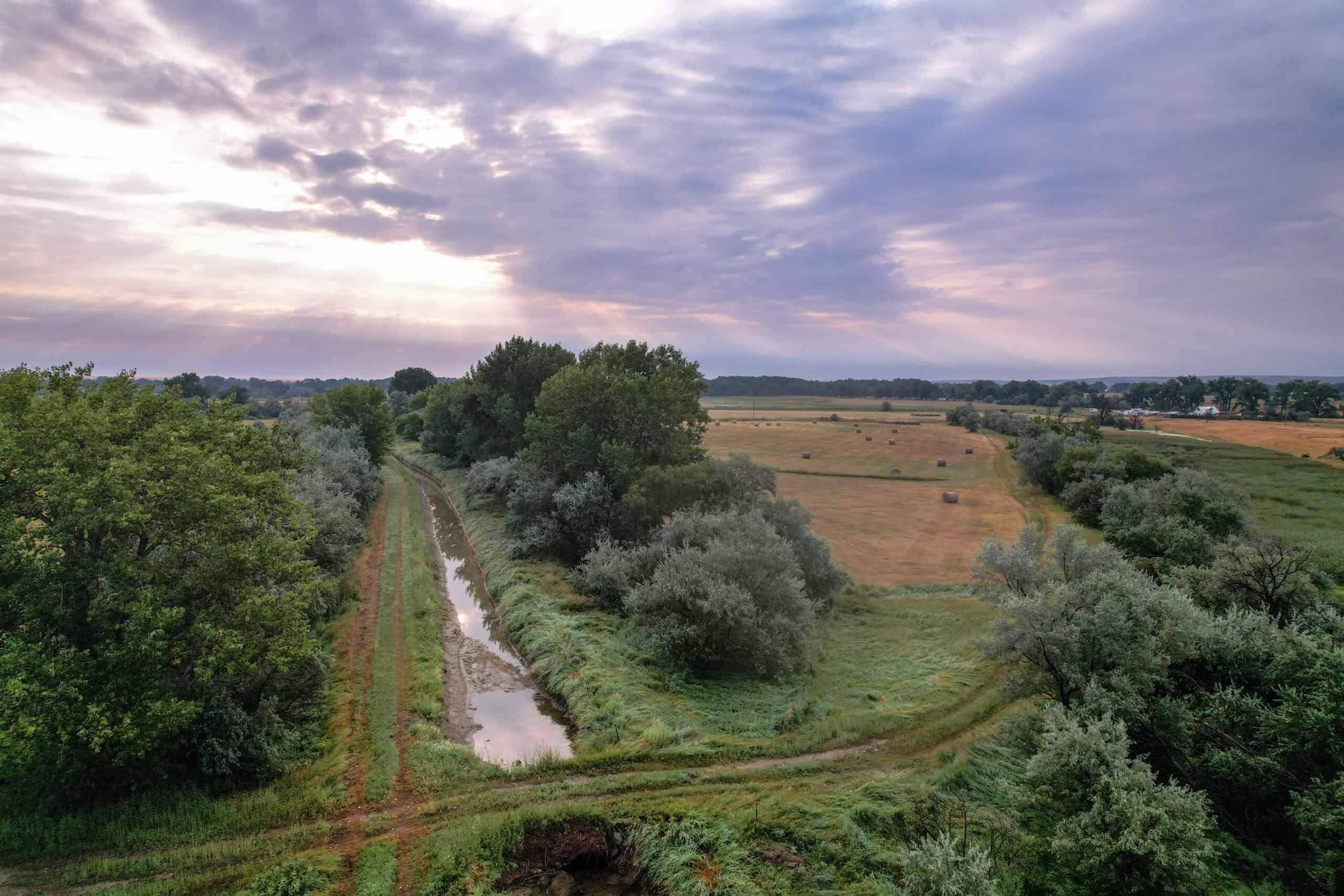 Whitetail Meadows