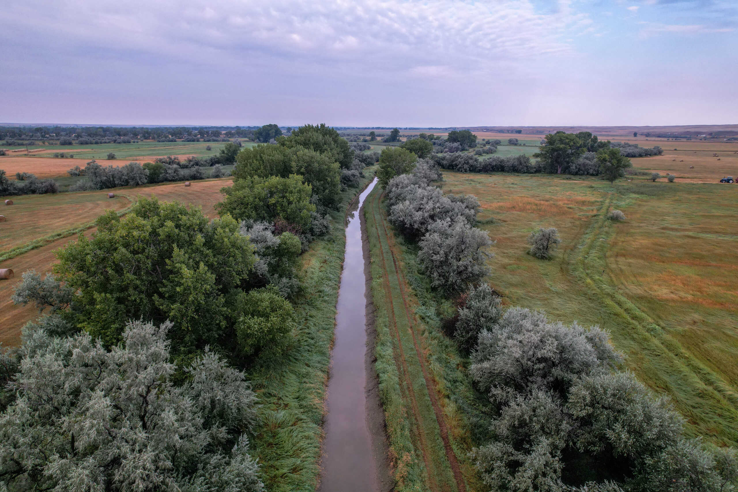 Whitetail Meadows