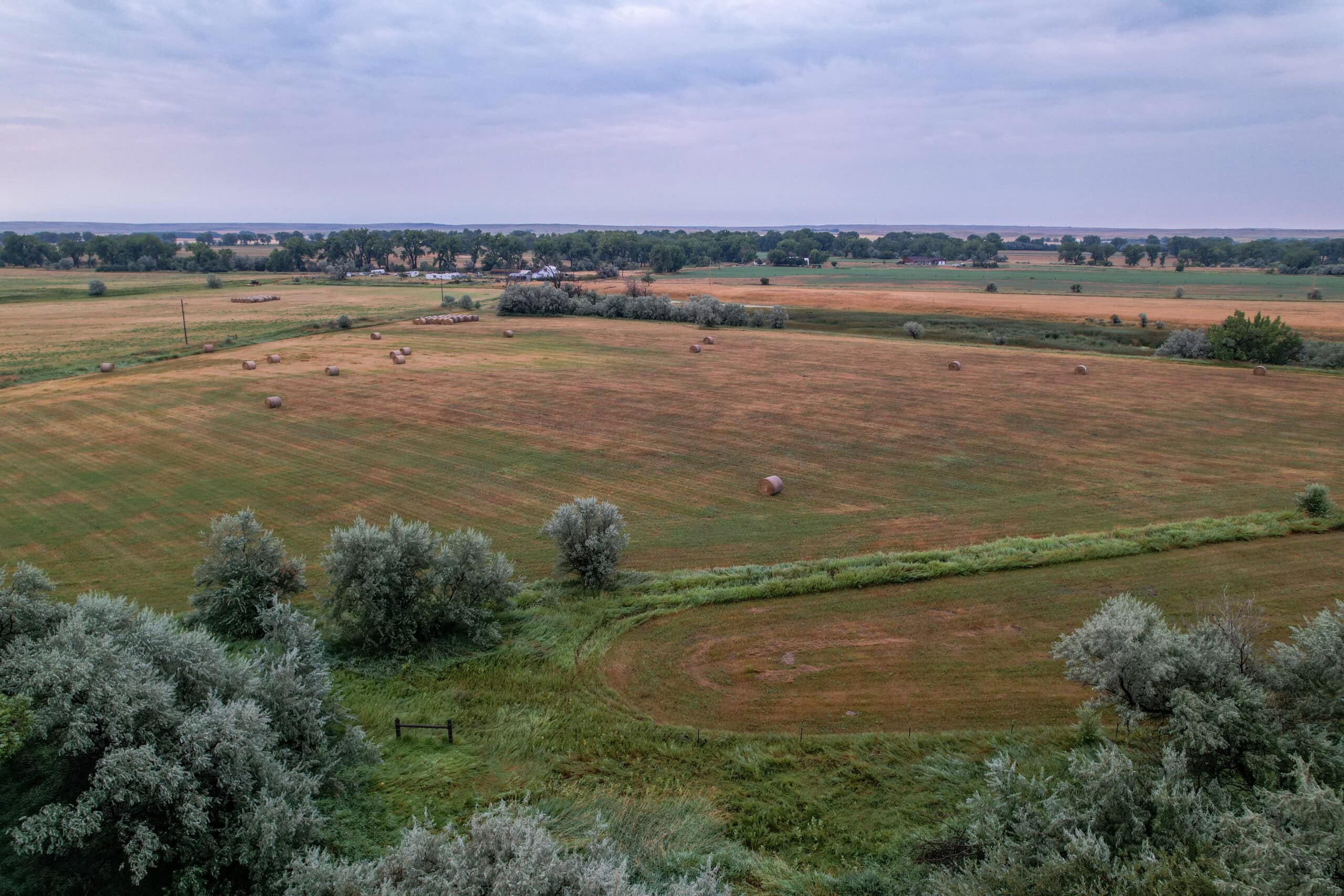 Whitetail Meadows