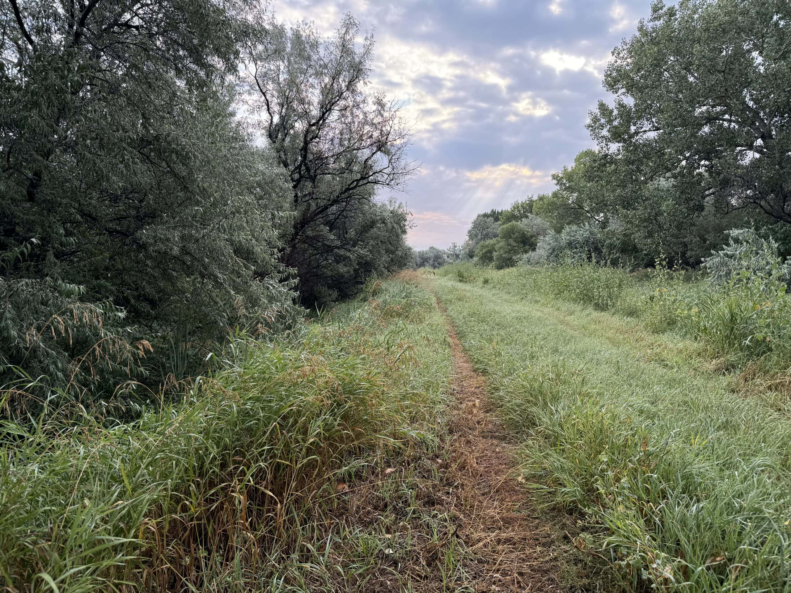 Whitetail Meadows