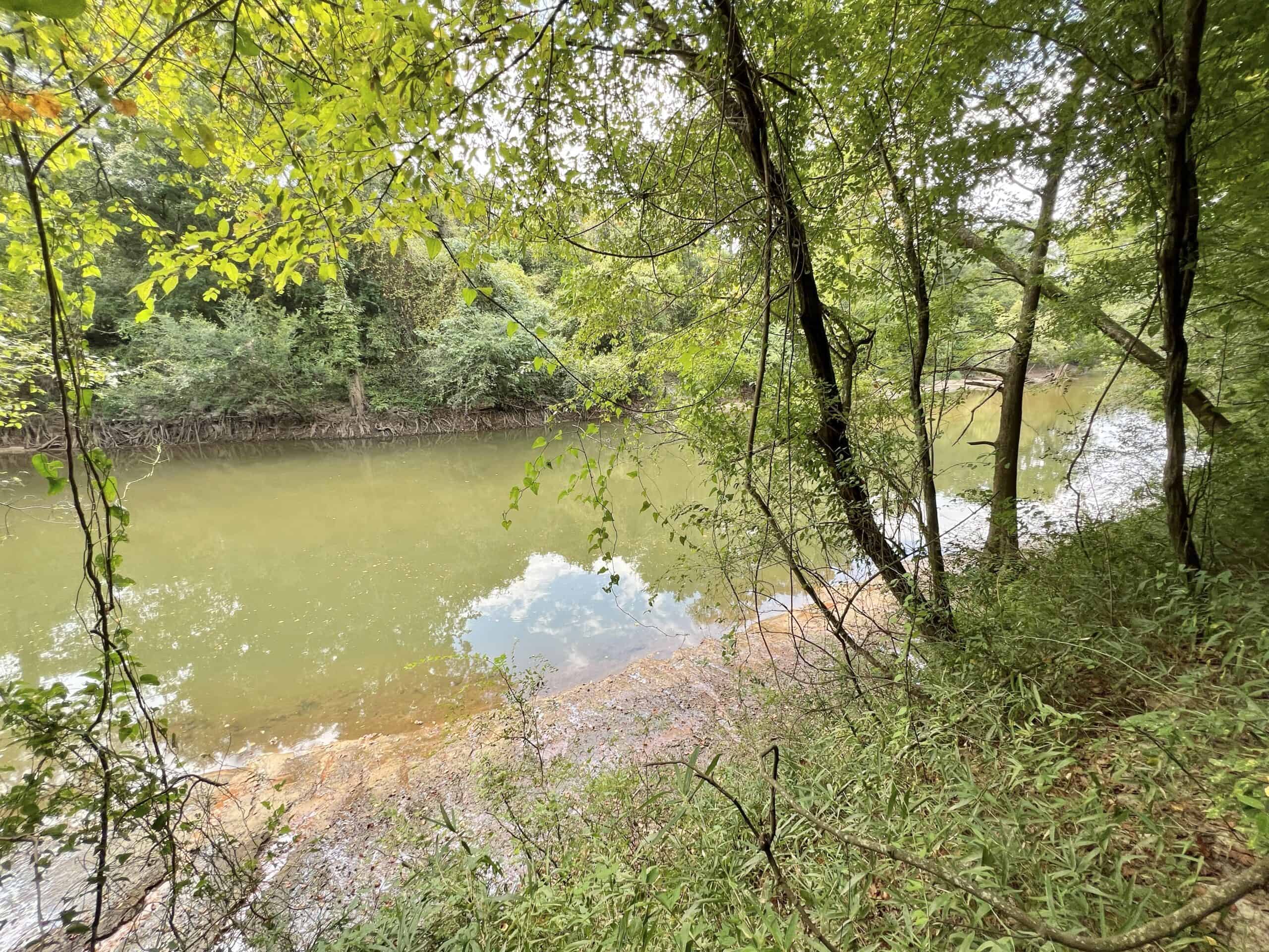 Prime Riverfront Hunting & Recreational Land for Sale in Samson Alabama!