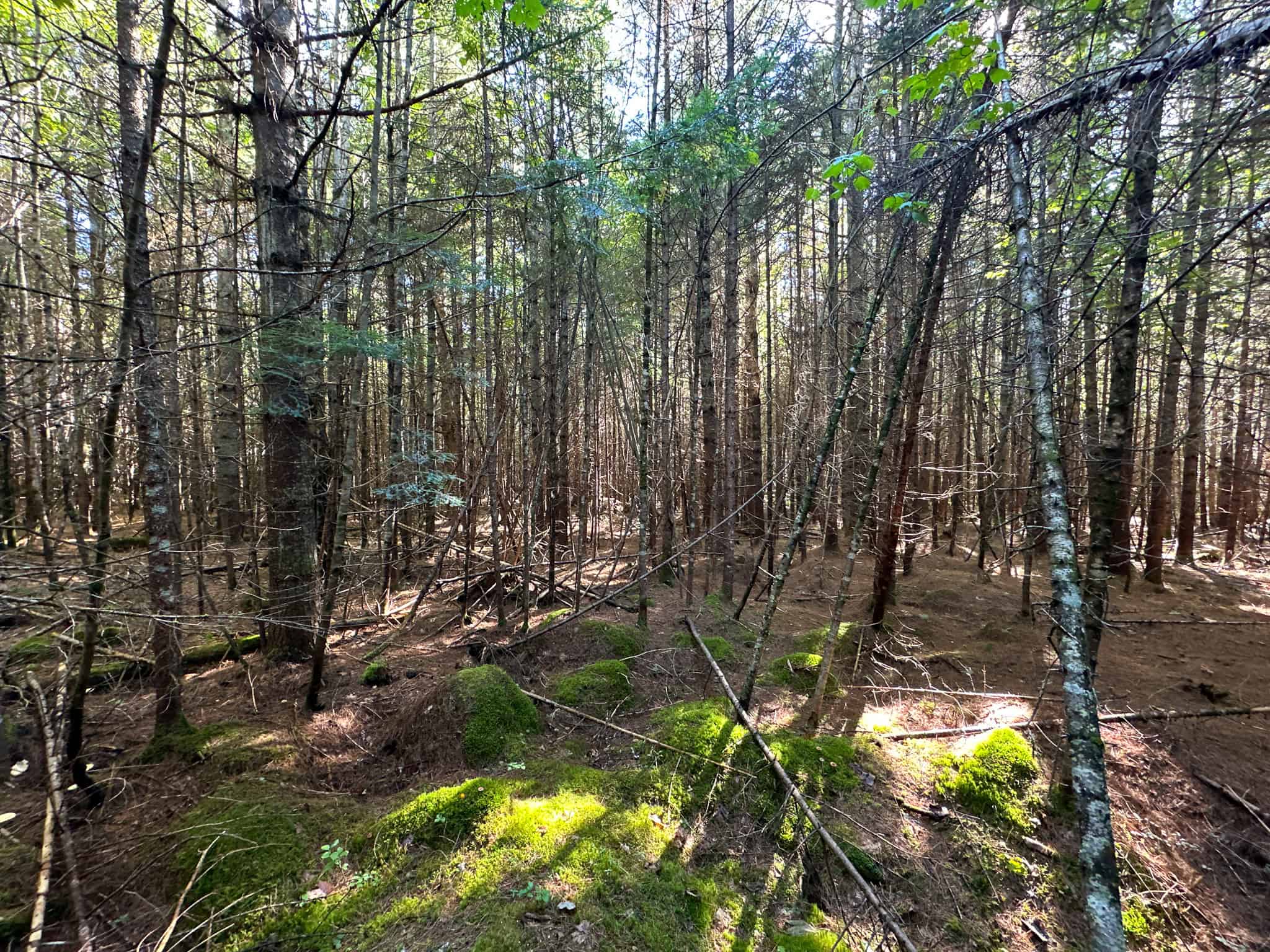 Off Grid Land Big Timber