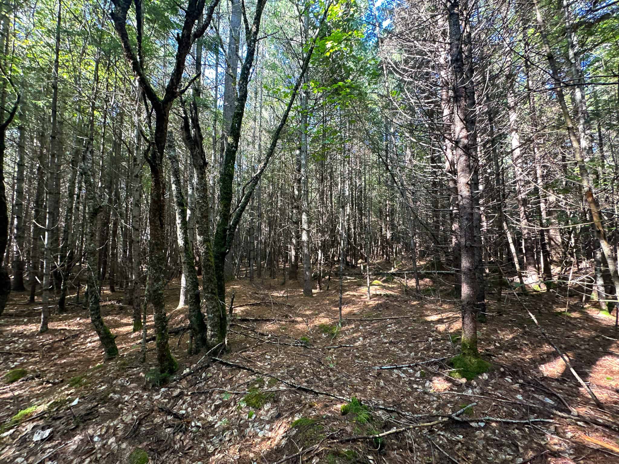 Off Grid Land Big Timber
